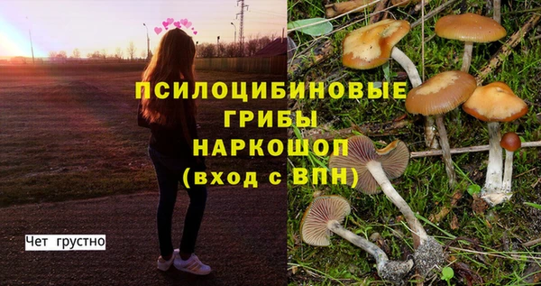 дурь Аркадак