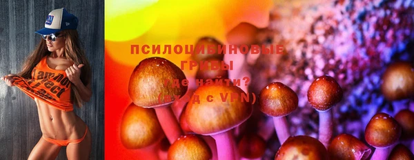 метадон Арсеньев